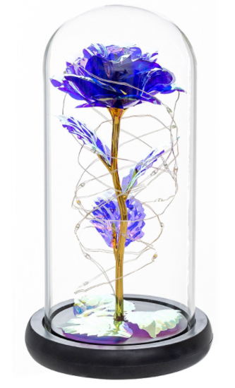 Preserved Roses In Glass Galaxy